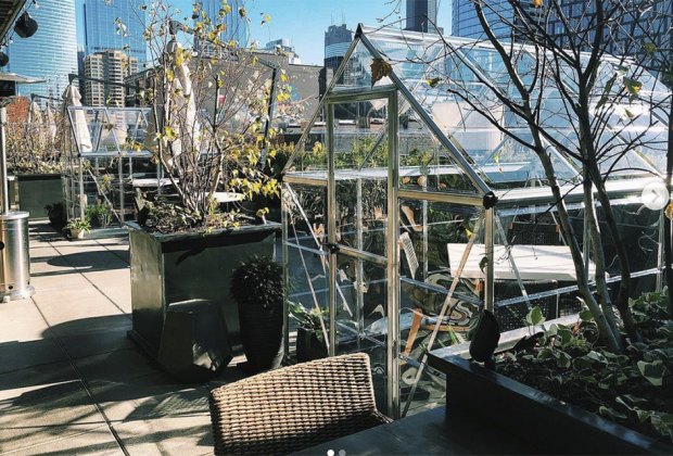 Dine in a greenhouse or on the heated patio at Aba's in Chicago