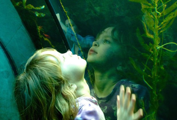 Ten Things My Preschooler Loves at the California Science Center