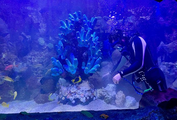 Winter Day Trips For Nj Families Mommypoppins Things To Do In New Jersey With Kids Winter Day Trips For Nj Families Mommypoppins Things To Do In New Jersey With Kids