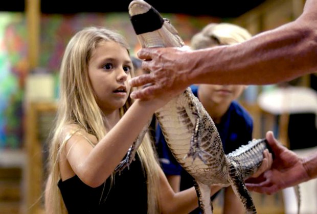 a little girl holds an alligator