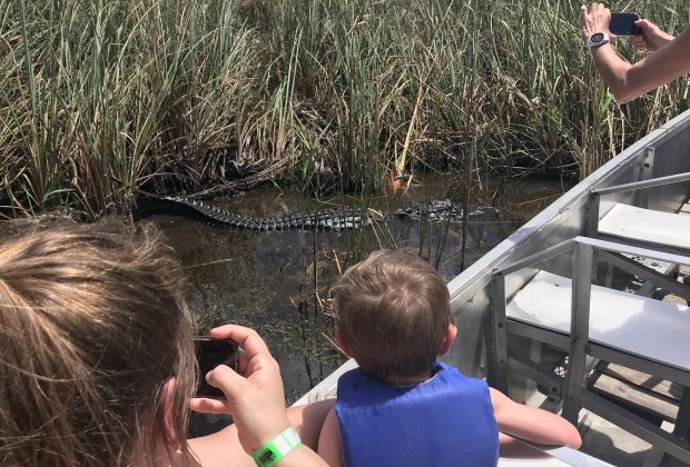 Alligator and child at Sawgrass Recreation Park