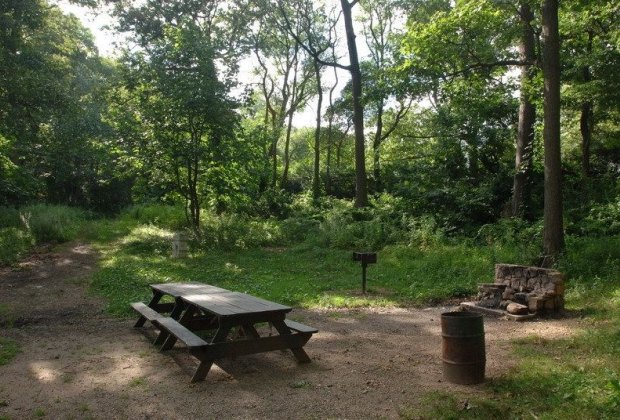 Alley Pond Park In Queens 10 Things To Do In The Sprawling Urban Green Space Mommypoppins Things To Do In New York City With Kids