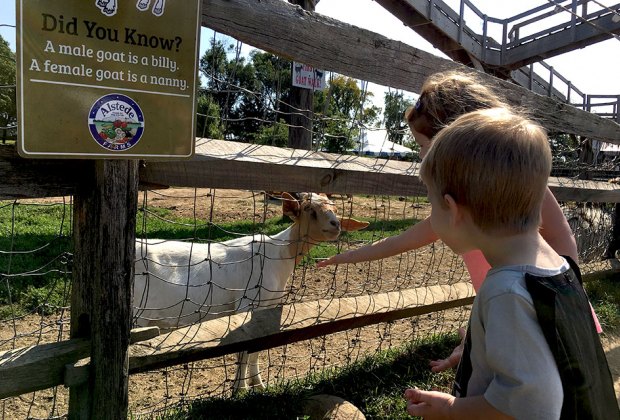 petting farms near me open today