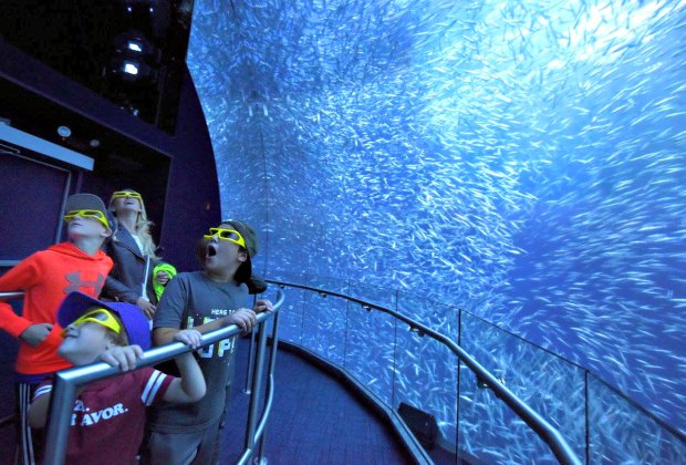 National Geographic's Interactive Ocean Odyssey Makes Waves in Times Square