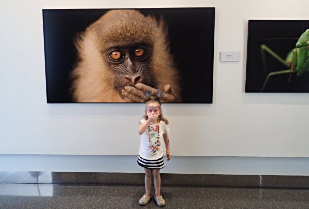 10 LA Museums That Are Free Every Day for the Whole Family Photo by author