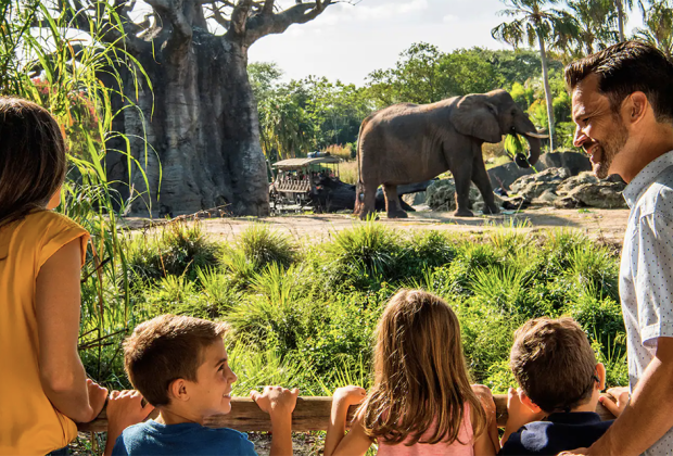 Animal Kingdom: Best Theme Parks in the US for Special Needs Kids