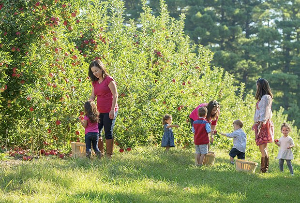 Image of children apple picking near Boston at Smolak Farms.