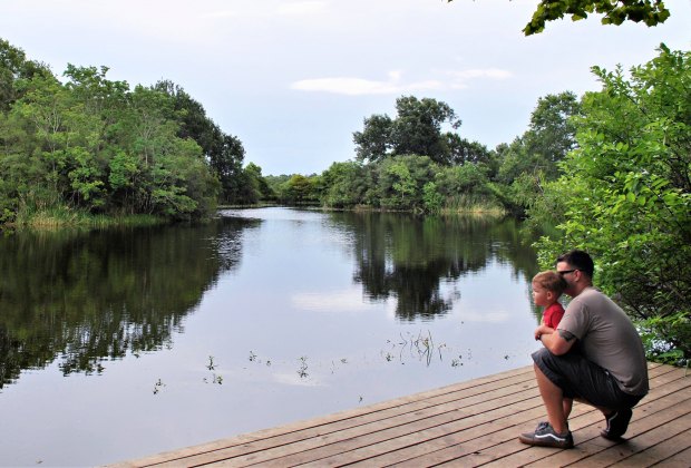 Armand Bayou Nature Center. 