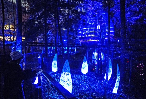 Atlanta Things to do over Christmas Break: Fernbank transforms into a Winter Wonderland