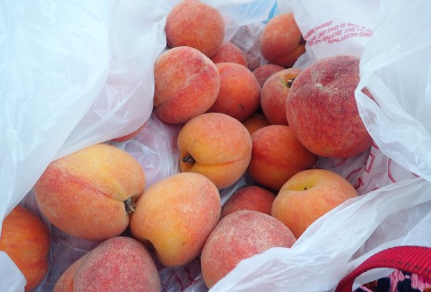 Georgia Peach World Farm peaches!