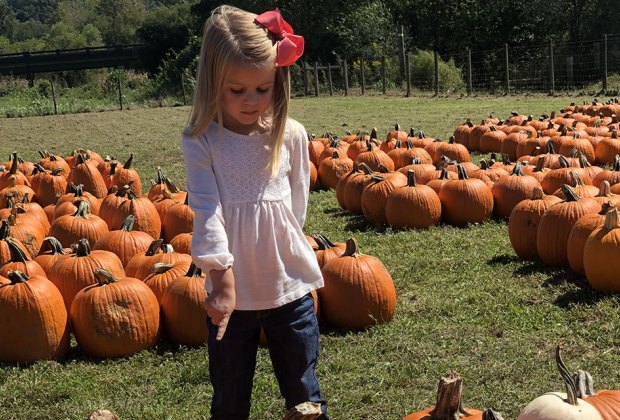 Uncle Shuck’s Corn Maze and Pumpkin Patch 