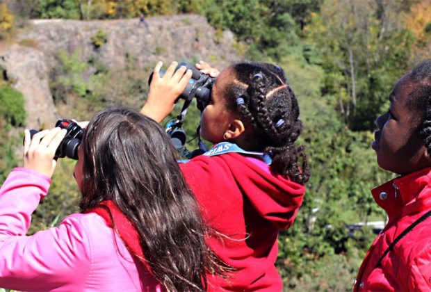 Favorite NJ Reservations with Fun Outdoor Kids' Activities and Hikes Look for more than 150 species of birds at Plainsboro Preserve. Photos courtesy of NJ Audubon