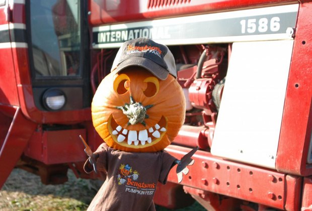 Best Pumpkin Patches Near Chicago