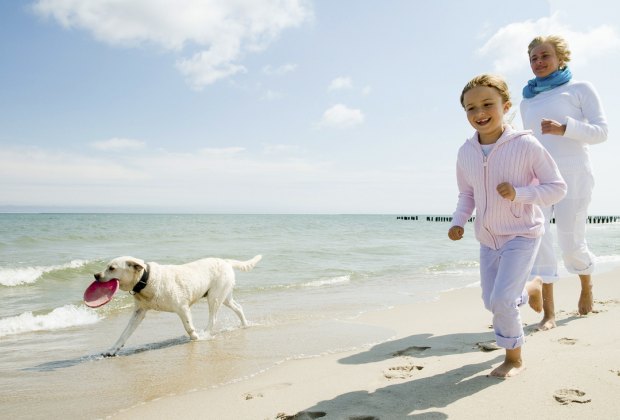 Dog-Friendly Beaches Near Los Angeles: Head a little further to San Deigo or Santa Barbara County