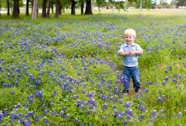 Where To Find Bluebonnets In Houston This Spring Mommypoppins Things To Do In Houston With Kids