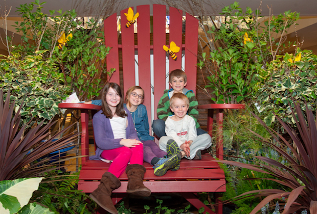 CANCELED: Boston Flower and Garden Show