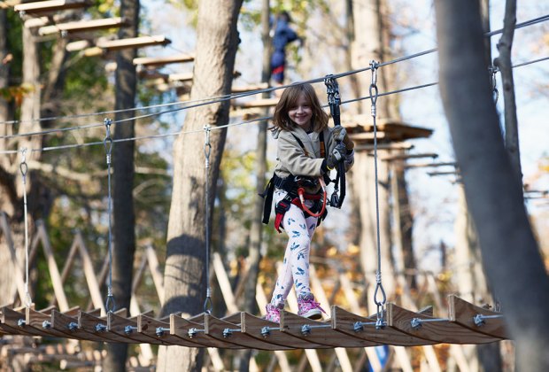 10 Zip Lines And Aerial Adventure Parks Near Chicago Mommypoppins Things To Do In Chicago With Kids