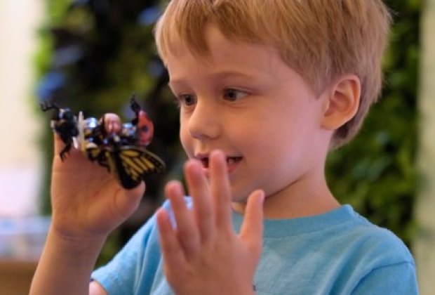 Brooklyn Preschool of Science: A Unique Learning Experience for NYC Kids