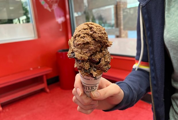 Bruster's Ice Cream Atlanta Restaurants Where Kids Eat Free