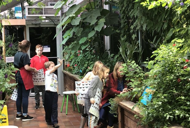 Indoor Gardens Where Boston Kids And Families Can Escape Winter