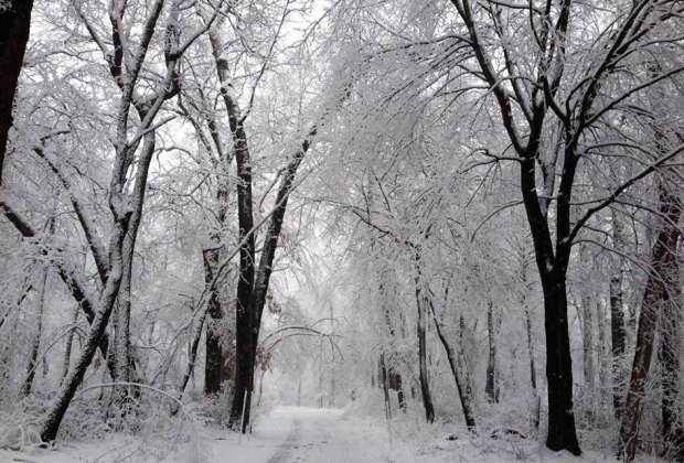 snow and cross country skiing at Caleb Smith State Park Preserve