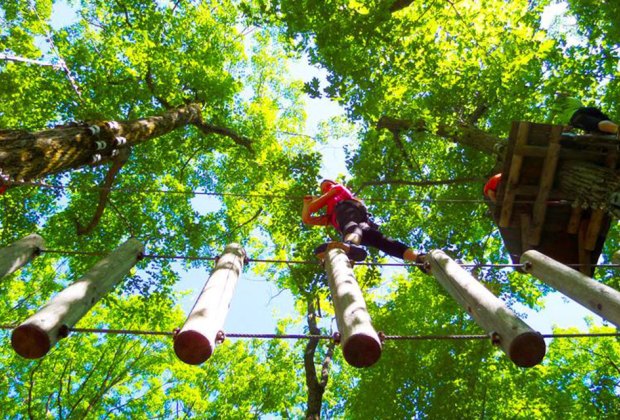 Camelback Mountain Adventures TreeTop Course. 