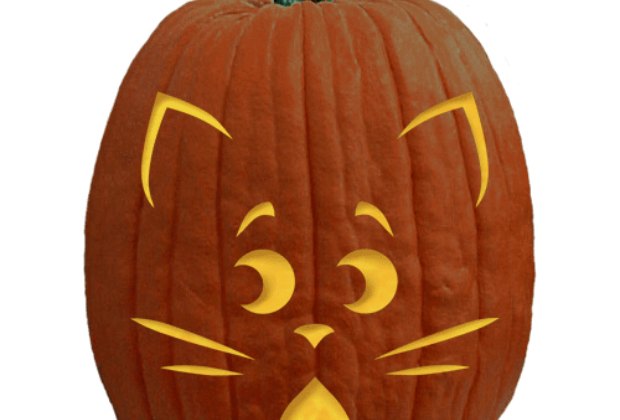 pumpkin stencils of easy cats