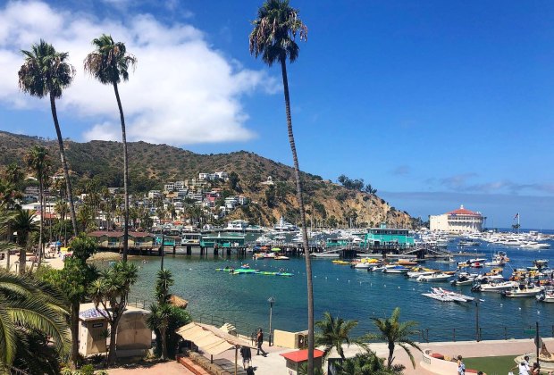 Road Trips from Los Angeles for Families: Catalina Island