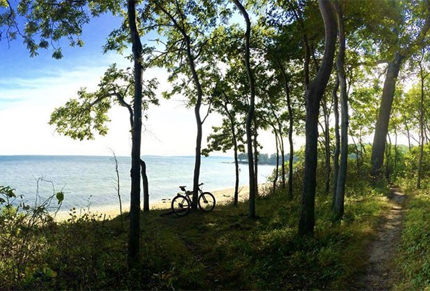 Camusett State Park's forest leads to a sandy shoreline