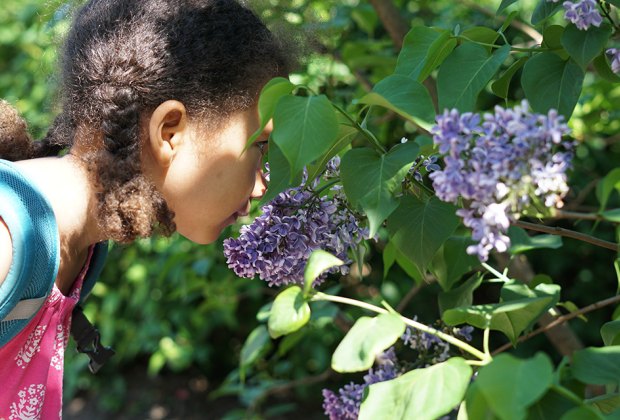 Central Park with Kids Conservatory Garden