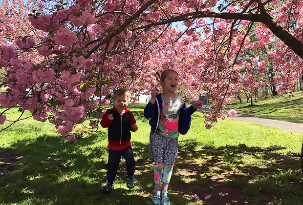 Two smiling kids playing among the cherry trees cherry blossoms at Branch Brook Park