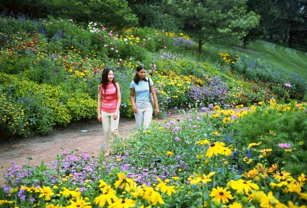 Hikes near Chicago: Chicago Botanic Gardens