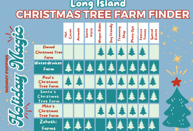 Christmas Tree Farm Guide Long Island