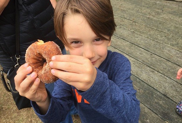 Where to Find Cider Donuts in Fairfield County