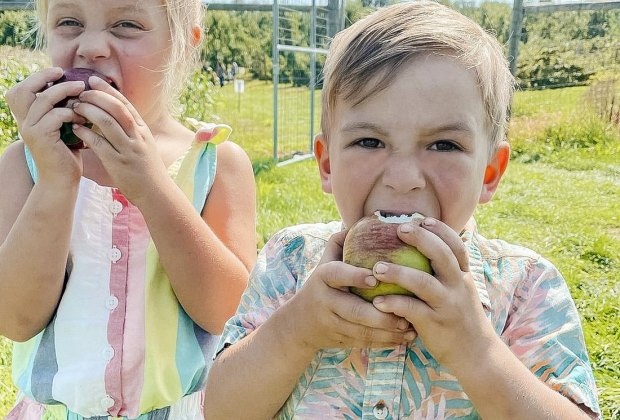 Image of children eating apples at an apple orchard near Boston