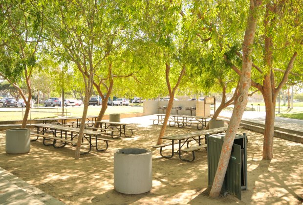 bbq park near me