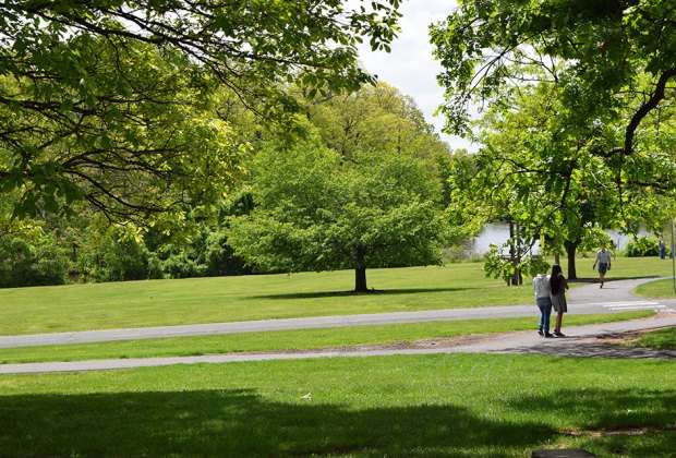 Colonial Park has tons of paved paths for bike riding.