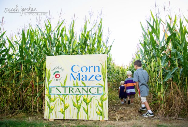 Corn Mazes Near Boston With Fun Extras Like Zip Lines ...
