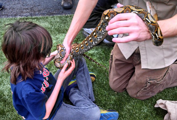 Critter Squad animal petting birthday party