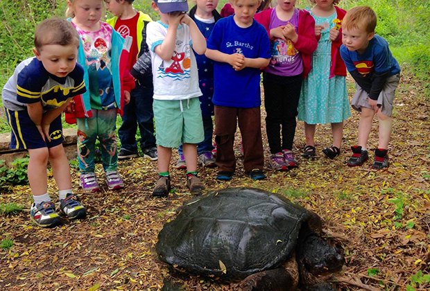 Nature Centers Sure to Delight Long Island Kids | MommyPoppins - Things ...