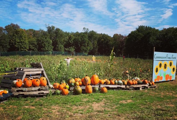 Cunningham Family Farms offers plenty of entertainment in the heart of the Catskills