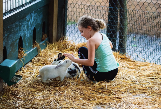 Feed the rescued bunnies at Bee City Zoo.: Bee City Zoo