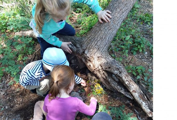 Get in touch with nature. Photo courtesy of Denison Pequotsepos Nature Center 