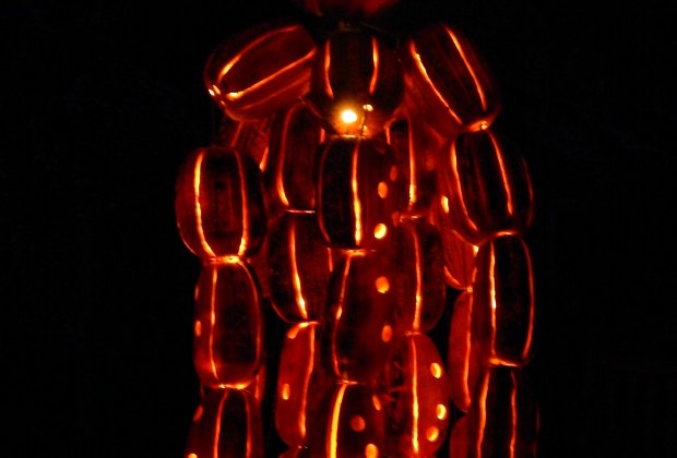Pumpkin Blaze Long Island Pumpkin Blaze Long Island