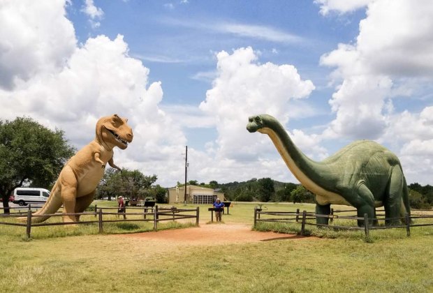 north dinosaur park