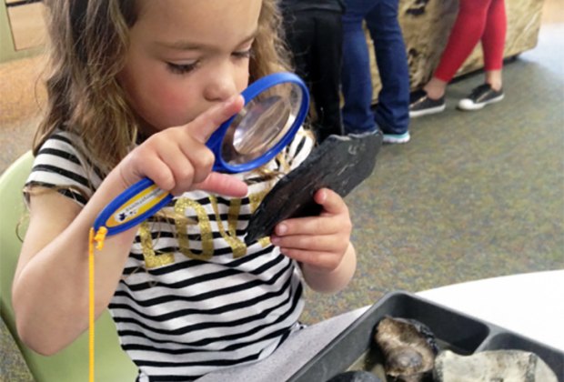 Digging up Dinos at The Dinosaur State Park
