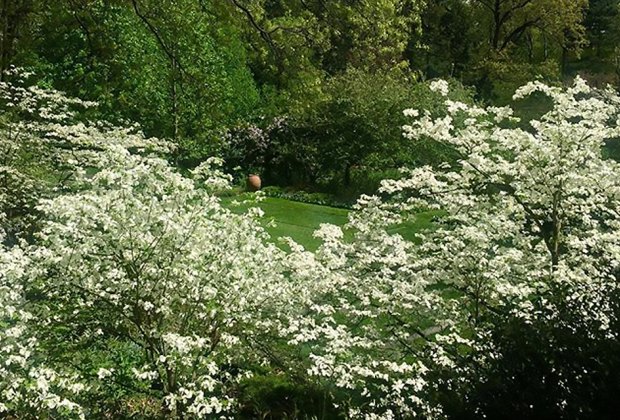 Reeves-Reed Arboretum offers family-friendly programming