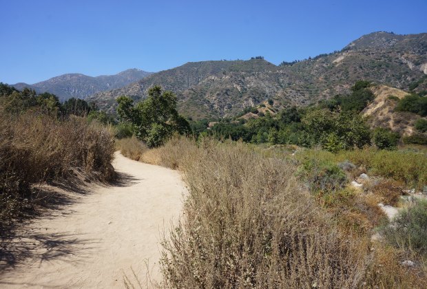 Wildlife Hikes for Kids  in Los Angeles: Eaton Canyon