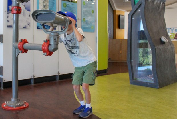 Top 10 Things To Do at the EcoTarium, the Interactive Science Museum for Kids Near Boston The EcoTarium encourages kids to make their own scientific discoveries. Photo courtesy of the EcoTarium