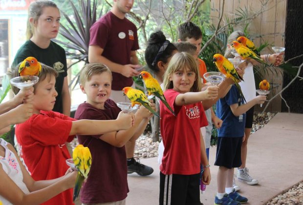 A World's First for Elmwood Park Zoo
